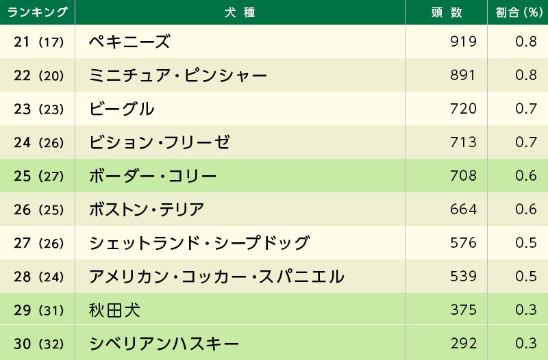 人気犬種ランキング21~30位の一覧