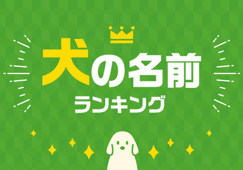 犬の名前ランキング
