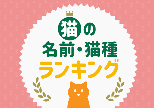 猫の名前・猫種ランキング