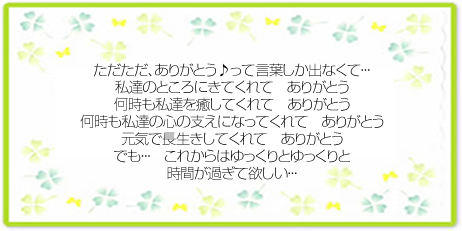 メッセージ