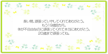 メッセージ