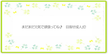 メッセージ