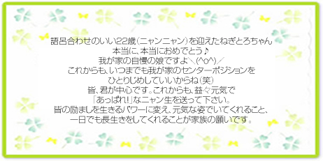 メッセージ