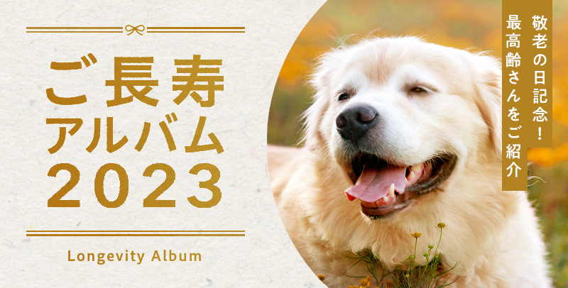 ご長寿アルバム2023 敬老の日記念!最高齢さんをご紹介。