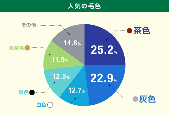人気の毛色
