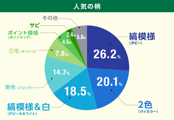 人気の柄