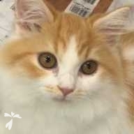 藤野 ララ ちゃん