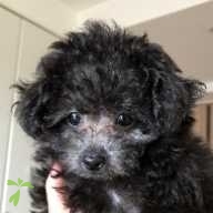 長坂 ココ ちゃん