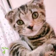 松本 うり坊 ちゃん