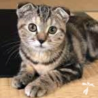 高岡 ゆず ちゃん