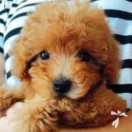 田中 虎太郎 ちゃん