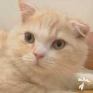 平松 ささみ ちゃん