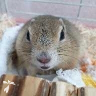 竹野内 のりお ちゃん