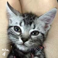 弓野 又旅 ちゃん