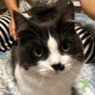 山口 ウィリ ちゃん