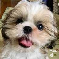 沼野 もなか ちゃん