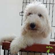 加藤 心春 ちゃん