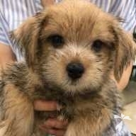 根本 ティム ちゃん