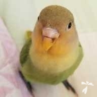 舩山 モナカ ちゃん