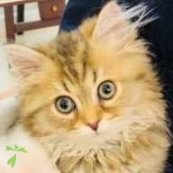 鈴木 ロジ ちゃん