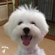 根津 しらす ちゃん