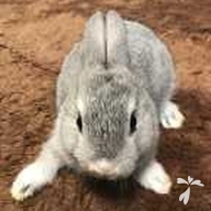 佐野 ゆず ちゃん