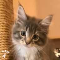 八坂 シュン ちゃん