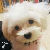 浅野 苺愛 ちゃん