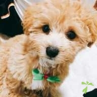 大屋 銀次郎 ちゃん