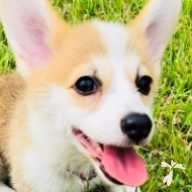 平野 楽々 ちゃん