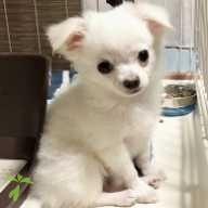 渡辺 空羽 ちゃん