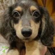 竹林 桃華 ちゃん