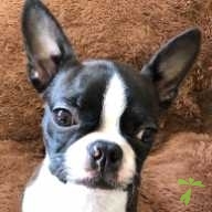 岡部 こうめ ちゃん