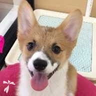 石田 おー ちゃん