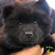 赤羽 メイ ちゃん