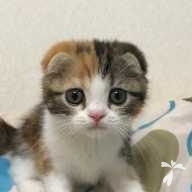 中村 マリー ちゃん