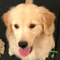 牧之内 スキップ ちゃん