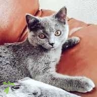 奥原 Jasmine ちゃん