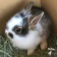 梶田 King ちゃん