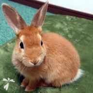 山田 ティカ ちゃん