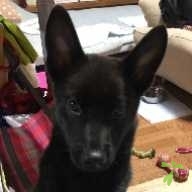 山口 サン ちゃん