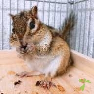 山縣 なの ちゃん