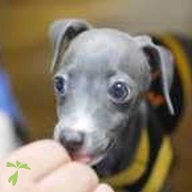 髙橋 イタくん ちゃん