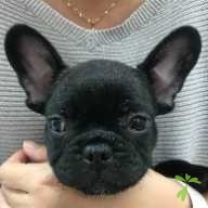 鈴木 ラッキー ちゃん