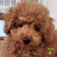 倉田 蒼紫 ちゃん