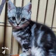 金田 空 ちゃん