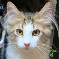 大原 EMMA ちゃん