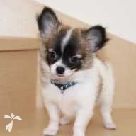 篠原 空斗 ちゃん