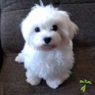 平野 える ちゃん