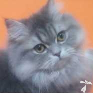 小川 だいふく ちゃん